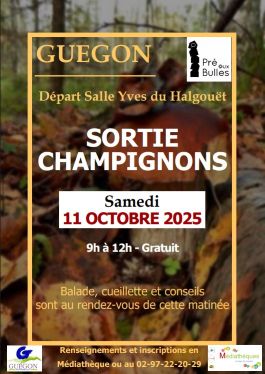 sortie champignon reduite